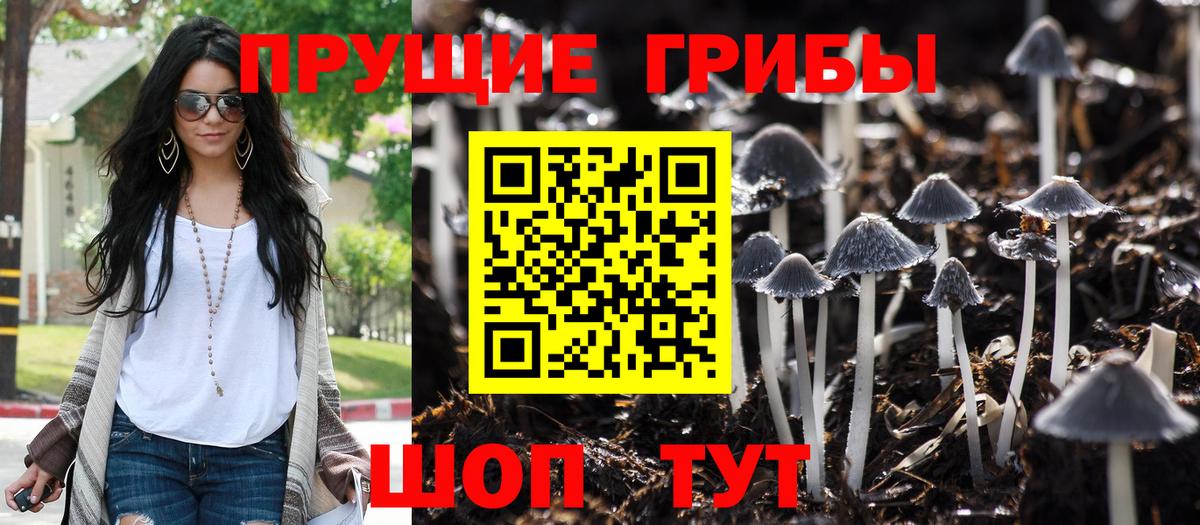 Галлюциногенные грибы MAGIC MUSHROOMS Нефтекамск