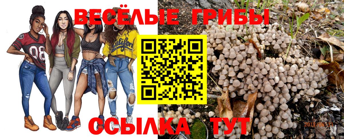 Нефтекамск  Псилоцибиновые грибы Magic Shrooms  Вход с VPN 